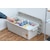 �A�C���X�I�[���}�bTRAILBOX 800�i���e�ʁF57L / �z���C�g�A�b�V���j�bTRB-800