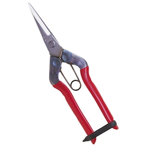 �ߐ��b�X�e�����X����� �i�u���X�^�[�p�b�N�j�bT-550S