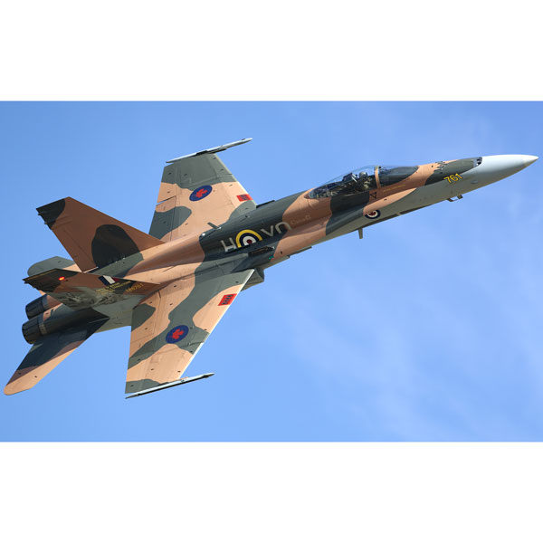 ハセガワ CF-18A ホーネット バトル オブ ブリテン 75周年記念 1