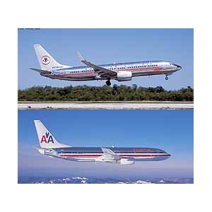 アメリカン航空　ポーイング737-800 1:200 4967834106703.jpg