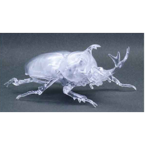 自由研究シリーズ No 21 Ex 1 いきもの編 カブトムシ クリアー 自由研究 21 Ex 1 Joshin Webショップ 通販 フジミ F ジユウケンキュウ21ex 1 カブトムシ クリア 自由研究シリーズ No 21 Ex 1 いきもの編 カブトムシ クリアー 自由研究 21 Ex 1 Joshin Webショップ 通販 フジミ F ジユウケンキュウ21ex 1 カブトムシ クリア