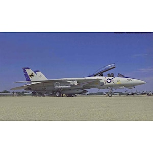�t�W�~�b1/72 F14D�g���L���b�g VF213�u���b�N���C�I���Y ���X�g�N���[�Y �n�C�r�W/���[�r�W�yI16�z�bFUJIMI I16 F14D �ѷ���