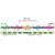 �V�}�m�b�^�i�g��4 10m�~5�J���[ 300m(0.8��/17.8lb)�b588807