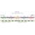 �V�}�m�b�^�i�g��4 10m�~5�J���[ 500m(3.0��/49.1lb)�b647818