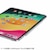 �T�����T�v���C�biPad Air 13�C���` �iM2/2024�j/iPad Pro 12.9�C���`�i��6/5����A2022/2021�j�p �N���A�n�[�h�P�[�X�bPDA-IPAD2102CL