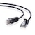 �T�����T�v���C�b�J�e�S��6�����ɍ�LAN�P�[�u���i�u���b�N�E0.15m�j�bKB-SL6-0015BK