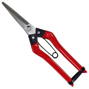 �i�g�b�X�e�����X ����(210mm)�b31286