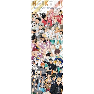 �G���X�J�C�b�n�C�L���[�I�I HAIKYU�I�I CHRONICLES 950�s�[�X�y950-48�z�b���950-48HAIKYUCHRON