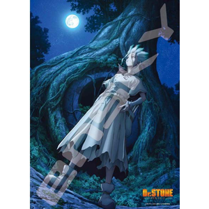 �G���X�J�C�bDr.STONE NEW WORLD�@500�s�[�X�y500-546�z�b���500-546�޸�-�İ�ƭ