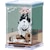 �G���X�J�C�bSPY�~FAMILY �y�[�p�[�V�A�^�[-CUBE- �A�[�j���ƃ{���h�yPTC-T08X�z�bPTC-T08X ��̧߲�ذ ��Ƭ�������