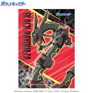�G���X�J�C�b�|�P�b�g�����X�^�[ �u�������b�N�E�U�v 108�s�[�X�y108-716�z�b���108-716 �߹�� �۲گ����