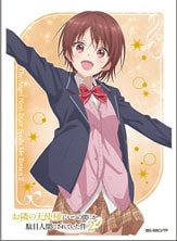 トレーディングカード | キャラクタースリーブ | Joshin webショップ 通販