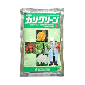 OAT�A�O���I�b�E�ۍ� �J���O���[�� 250g�bOA-2056356