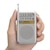 �I�[���b���C�hFM/AM �|�P�b�g���W�I�bRAD-P212S-S(03-0976)