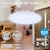 �I�[���b4.5��`6���p LED�V�[�����O���C�g�y�J�`�b�g���z(�����F) 2900���[�����bLE-Y26GS-WD