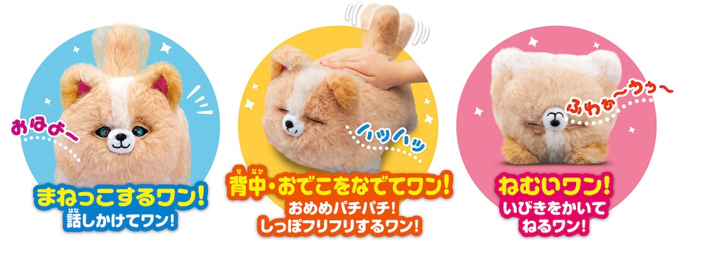 ワンだきみは！？ | アガツマ | ワンダキミハ | Joshin web