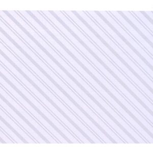 �J������H���b�����C�N�V�[�g mt casa shade ���X�g���C�v �X�g���C�v�bMTCS2301