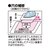 �L���v�e���b�W���[�W�̕�C�V�[�g �W���[�W�p�i�R�Q���j�bCP111-15