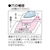 �L���v�e���b�W���[�W�̕�C�V�[�g �W���[�W�p�i���j�bCP111-16