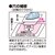 �L���v�e���b�H�тӂƂ��C�V�[�g�i���F�j�bCP203-2