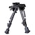 �N���E�����f���b�o�C�|�b�h�b�׳ݥ��è���޲�߯�