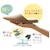 �Z���R�[(SENKO)�b�G�X�s�K�@�X���b�p�@M�@�i�x�[�W���E�T�C�Y�F23�`24.5cm�j�b���߶�M��-���