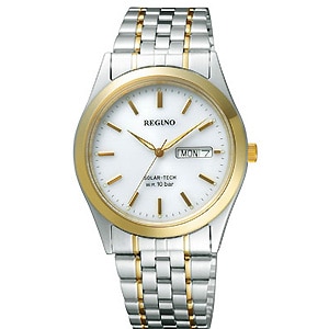 �V�`�Y���b�y�������K�i�z���O�m�@�X�^���_�[�h�V���[�Y�bRS25-0053