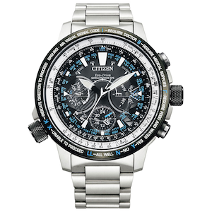 �V�`�Y���b�v���}�X�^�[�@SKY�V���[�Y�@�u���[�C���p���X�@���胂�f���bCC7015-63E
