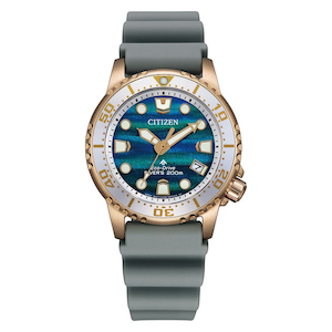 �V�`�Y���b�y�������K�i�z�v���}�X�^�[�@MARINE�V���[�Y�@�_�C�o�[200m�@�\���F���胂�f���bEO2023-00W