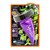 �v���X�^�b�t�b�E�B���h�E�P�A�@���C�������X�^�[ �X�g�����O�@80ml�bA-71