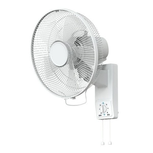 [s[by@zǊ|y݌ɏzbDKL-J31N