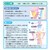 �W���C�p���b�g�b�ӂ�҂������f�B�􂿂�����ς��ς�����ڂ�X�e�B�b�N�b���߶���ި ��������������ݽè��