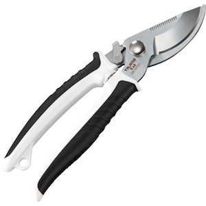 TJM�f�U�C���b�o���b�g���[���bDK-BM50