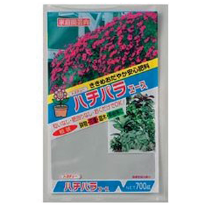 �g���`���[�b�n�`�p���G�[�X 700g�b#039598