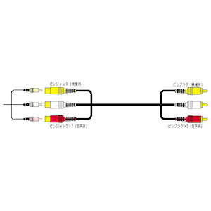 JVC�b�s���v���O(�~3)�̃s���W���b�N(�~3)2.0m�bVX-80G
