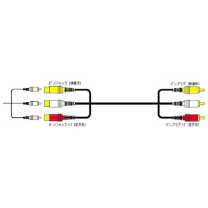 JVC�b�s���v���O(�~3)�̃s���W���b�N(�~3)3.0m�bVX-803G