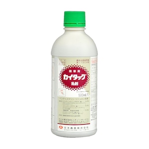 ���{�_��b���|������ �J�C�^�b�N���� 500ml�bNN-2057068