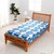 ����(nishikawa)�b�k���f�U�C���N�C�b�N�V�[�c�i�Z�~�_�u���E�u���[�j�bPK11240059800