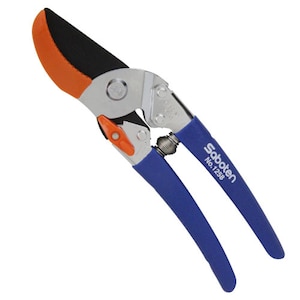 �T�{�e���b�A���r���^ ������R �S���F205mm�bNO.1258