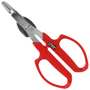 �T�{�e���b�������������� �e�R�t�� �S��170mm�bNO.5-B