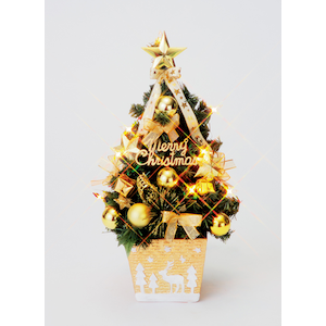 �t���[���b�N�X�b30cm����c���[�bXT-551
