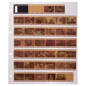 �n�N�o�b�l�K�A���o���p�֑䎆�m35mm�p/420�R�}���[�i10�V�[�g���j�n�bANG-SS35
