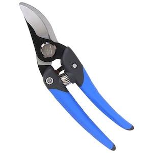 SK11�b�d�H�͂��� R�n�bDVC-DS195R