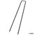 �Z�t�e�B-3�b�R�̎��s��(10P)3.5�~15cm�b664066