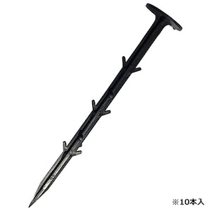 �Z�t�e�B-3�b�V�[�g����(10P)21cm�b664202