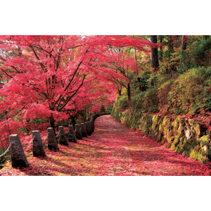 吉野山の紅葉景 奈良 16ベリースモールピース Joshin Webショップ 通販 エポック社 セントラル23 607sヨシノヤマノコウ 吉野山の紅葉景 奈良 16ベリースモールピース Joshin Webショップ 通販 エポック社 セントラル23 607sヨシノヤマノコウ