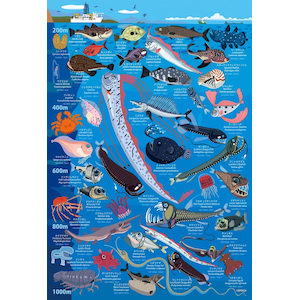 �G�|�b�N�Ёb�F�i���� �[�C�����}�� ���[200m�`1000m 100���[�W�s�[�X�y26-807�z�b�����26-807�ݶ�����½޶�200m