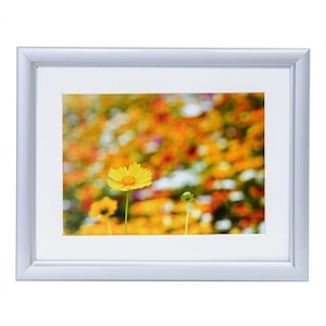 �t�W�J���[�b�A���~�z�� A32 �L���r�l/2L�i�V���o�[�j�i�O�ʔ�-PET�j�bA32-K(2L)-SV