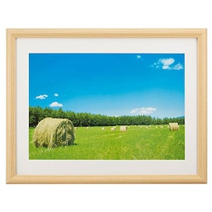 �t�W�J���[�b�ؐ��z�� YM-3 ���C�h4�؁i�ؒn�j�i�O�ʔ�-�A�N�����j�bYM-3��ޱ��� ܲ��4���