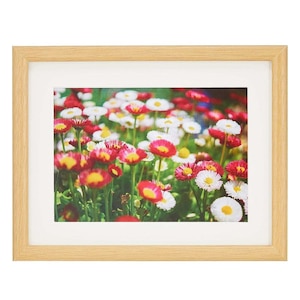 �t�W�J���[�b�ؐ��z�� M20 �L���r�l/2L�i�ؒn�j�i�O�ʔ�-PET�j�bӸ��F-M20-K(2L)
